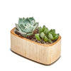 Planter (Maple / Wide)