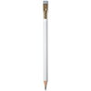Blackwing X Grovemade Pencils (White)